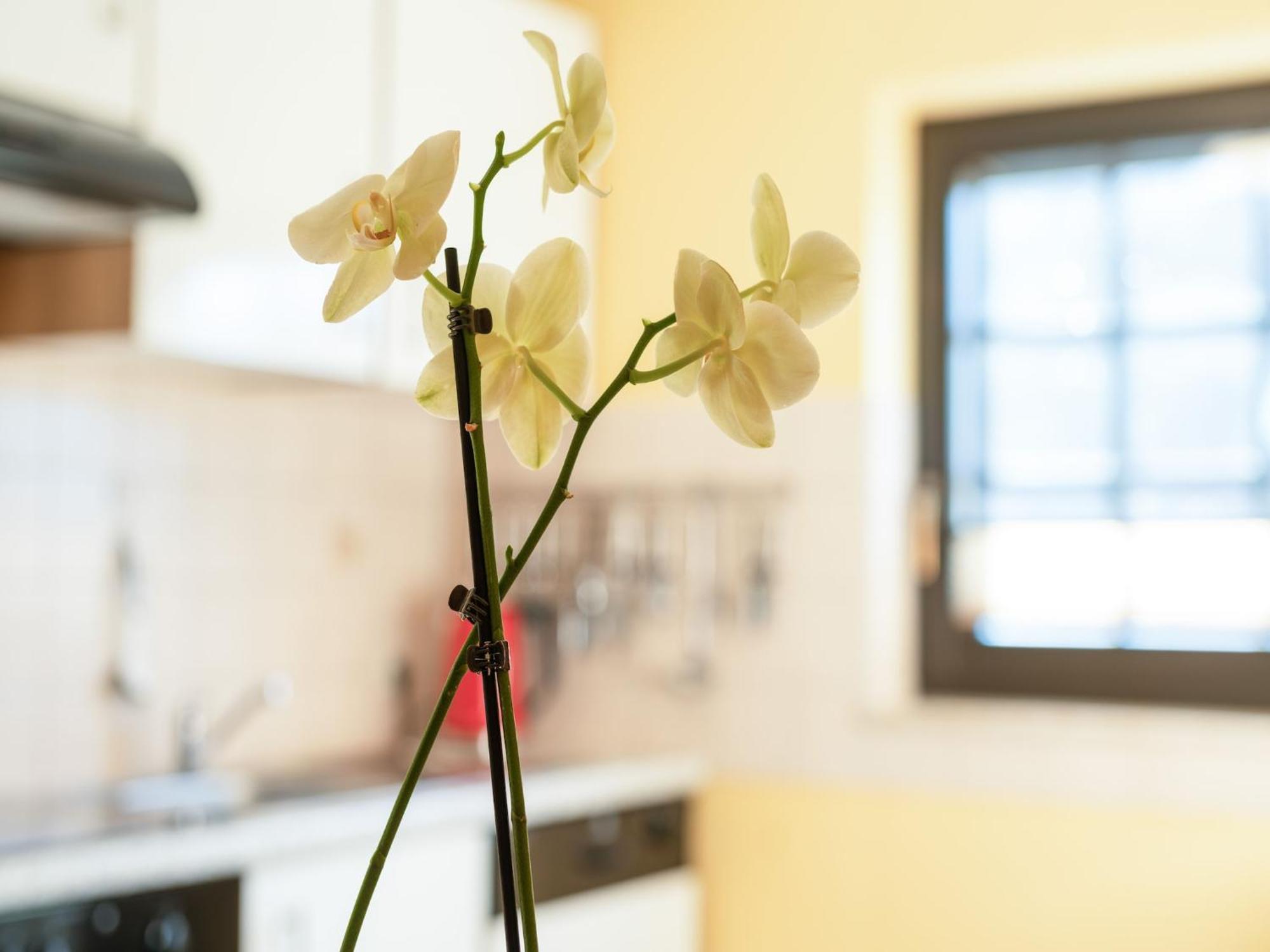 A Modern Apartment In The Hunsr Ck Region S Romantic Drohn Valley Merschbach エクステリア 写真